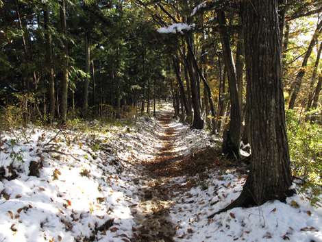 20161125hike (287)